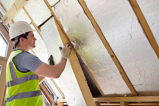 Best DIY Insulation Kits and Guidance in Oakland, IA
